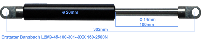 Bansbach L2M3-45-100-301--0XX